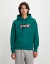 Bluza Męska Levi`s® Standard Graphic Hoodie Evergreen 38424-0041