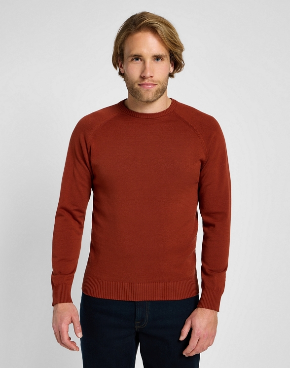 Sweter Męski Lee Clean Raglan Sweater Sweet Maple 112355672