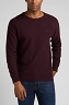 Sweter Męski Lee Raglan Crew Knit Velvet Beet L83PKH74